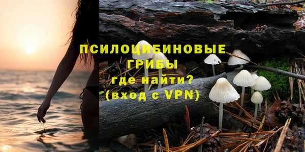 молекула духа Навашино