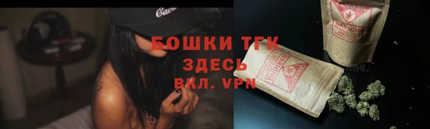 молекула духа Навашино