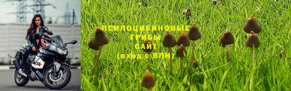 гидра Михайлов