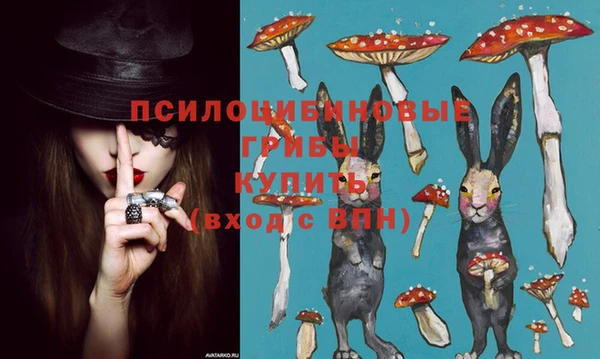 молекула духа Навашино