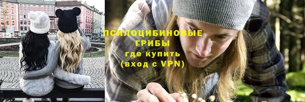 молекула духа Навашино