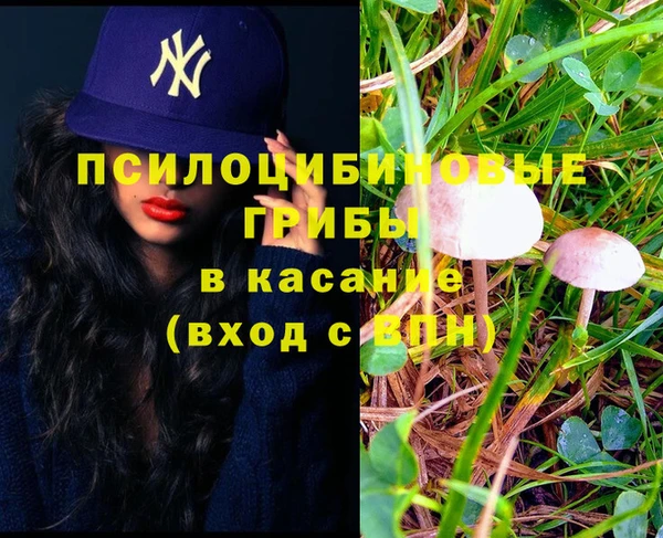 молекула духа Навашино