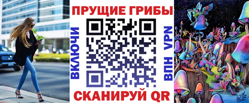Купить закладки Медвежьегорск Галлюциногенные грибы MAGIC MUSHROOMS