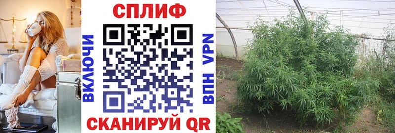 МАРИХУАНА Ganja  Купить закладки  Медвежьегорск 
